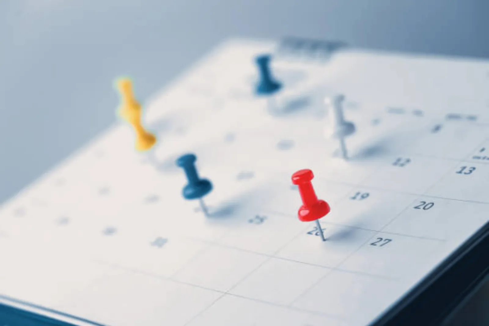 Calendario abierto en la fecha 15 de julio con elementos simbólicos de igualdad y efemérides