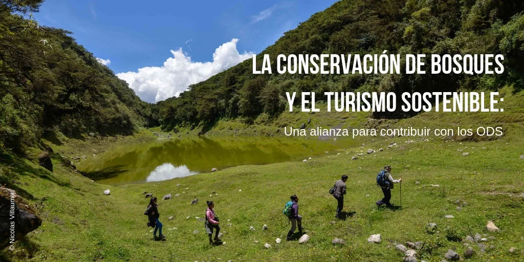 El impacto del turismo sostenible en la conservación de áreas naturales y culturales.