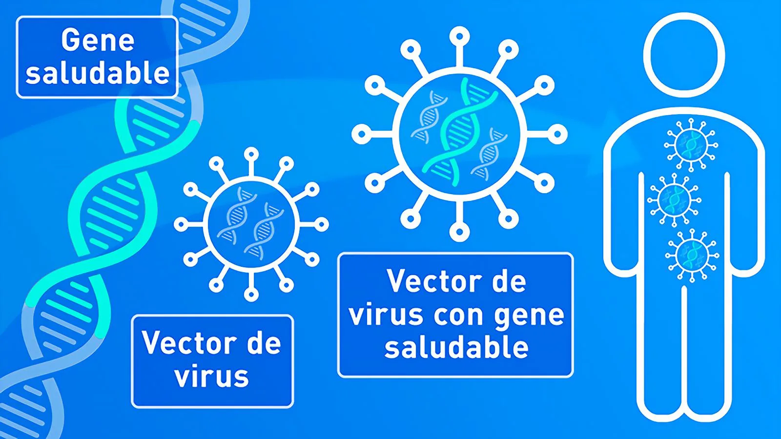 La revolución de la terapia génica y su potencial en el tratamiento de enfermedades genéticas y crónicas.
