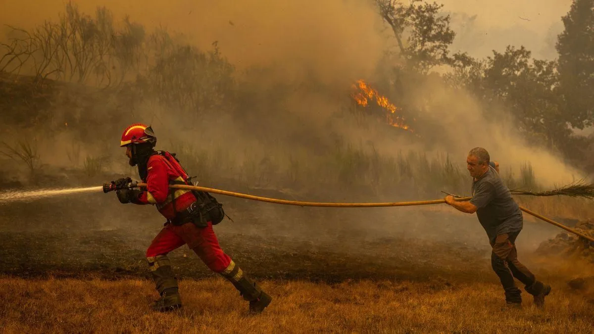 Incendios forestales con humo denso y llamas en un bosque cercano a Madrid